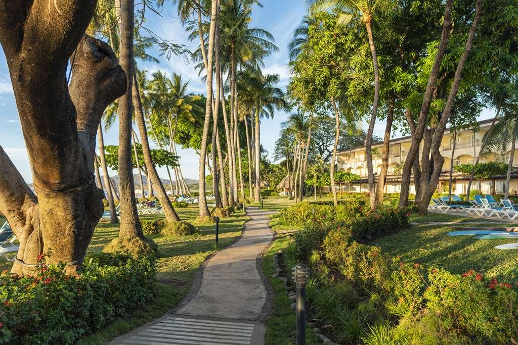 Hotel Tamarindo Diria Beach Resort Instalações foto